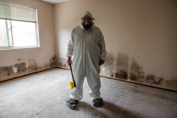 Best Attic Mold Remediation in Cramerton, NC